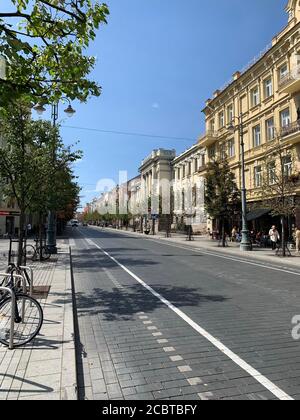 Avenue Gediminas en été. Vilnius, Lituanie. Banque D'Images