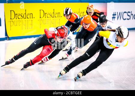 Dresde, Allemagne, le 02 février 2019 : les patineurs de vitesse se dispute pendant le Championnat du monde de patinage de vitesse sur piste courte de l'UIP Banque D'Images