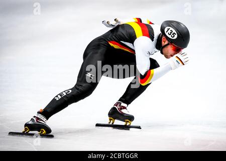 Dresde, Allemagne, 01 février 2019: Le patineur allemand de vitesse participe au Championnat du monde de patinage de vitesse sur piste courte de l'UIP à l'EnergieVerbund Banque D'Images