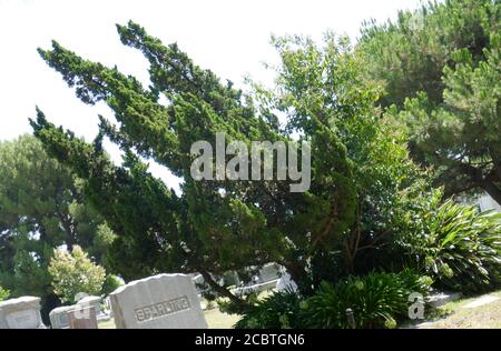 Hollywood, Californie, Etats-Unis 14ème VUE générale de l'atmosphère du cimetière Hollywood Forever le 14 août 2020 à Hollywood, Californie, Etats-Unis. Photo par Barry King/Alay stock photo Banque D'Images