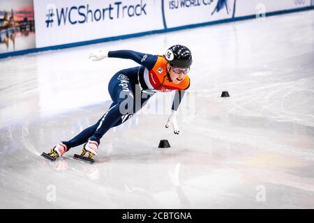 Dresde, Allemagne, 01 février 2019 : Lara van Ruijven des pays-Bas participe au Championnat du monde de patinage de vitesse sur piste courte de l'UIP à Dresde Banque D'Images