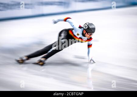 Dresde, Allemagne, 03 février 2019 : Tobias Pietzsch, de l'Allemagne, participe au Championnat du monde de patinage de vitesse sur piste courte de l'UIP Banque D'Images