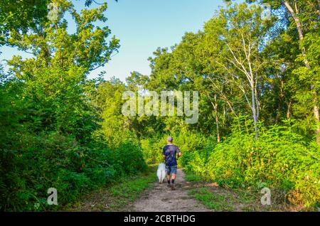 L'homme et son chien ont fait une promenade tranquille à Joseph and Lucie Cullinan Park Conservancy à Sugar Land, Texas, États-Unis, août 2020. Banque D'Images