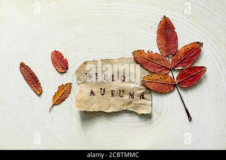 Étiquette en papier déchiré avec les mots Hello Autumn sur fond de bois naturel. Feuille d'automne colorée sur le fond Banque D'Images