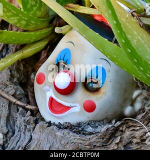 Vieux et effrayant créepy abandonné clown sourire tête de poupée effrayante dans le jardin au milieu du cactus vera d'aloès Banque D'Images