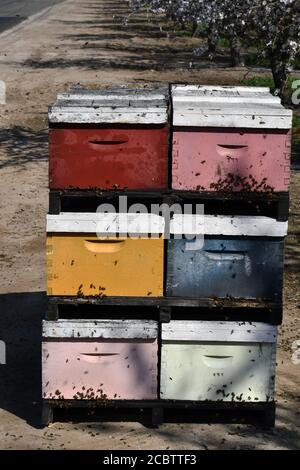 Photo verticale de ruches colorées empilées sur chaque autre Banque D'Images