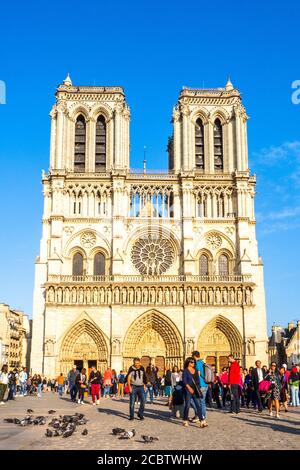 La façade occidentale de la cathédrale de Notre-Dame - Paris, France Banque D'Images