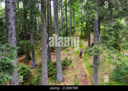 Femme avec un sac à dos marchant dans la forêt, vue aérienne Banque D'Images