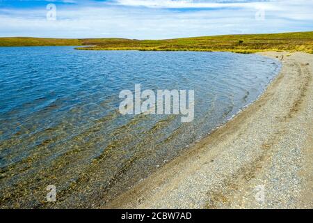 Glaslyn un petit lac de montagne dans le milieu du pays de Galles partie de Une réserve naturelle de la Fiducie de la faune du Montgomeryshire Banque D'Images