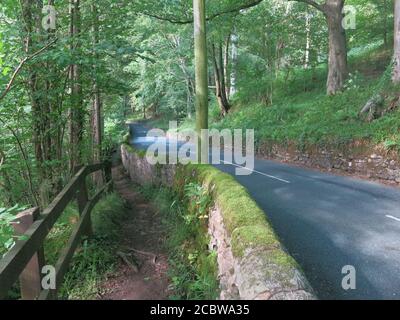 La route de campagne, avec sentier le long, à travers porter Wood en direction nord de Whitewell à Dunsop Bridge, Lancashire; août 2020 Banque D'Images