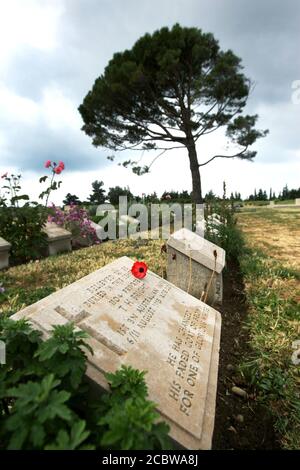 Pierres tombales des soldats australiens et néo-zélandais de la guerre mondiale tombés au cimetière Lone Pine Cemetery, sur la péninsule de Gallipoli, en Turquie. Banque D'Images