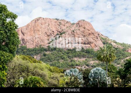 Vue sur Castle Hill depuis Queens Gardens avec palmiers en premier plan Townsville, Australie Banque D'Images