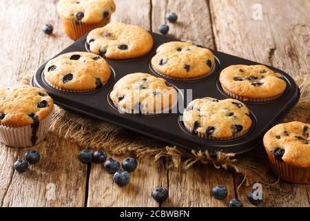 Muffins rustiques aux myrtilles dans un plat de cuisson sur la table. Horizontal Banque D'Images