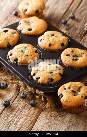 Dans un plat de cuisson sur la table, préparer des muffins aux baies avec des bleuets en gros plan Banque D'Images