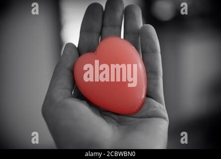 une femme tient dans sa main un savon en forme de cœur. Coeur symbole de l'amour. Cœur rose Banque D'Images