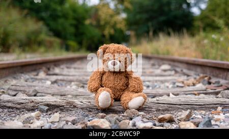 Ours solitaire abandonné sur les rails de chemins de fer désaffecté. Banque D'Images