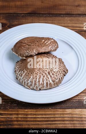 Deux champignons portabella on white plate Banque D'Images