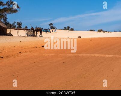Sénégal, Afrique - 02 février 2019 : route au sable rouge et blanc à la fin du passé Paris-Dakar et des enfants de l'école jouant sur la dune. Banque D'Images