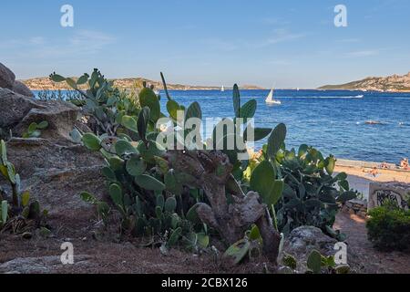 Spiaggia di Palau Vecchio vue sur la Sardaigne Banque D'Images