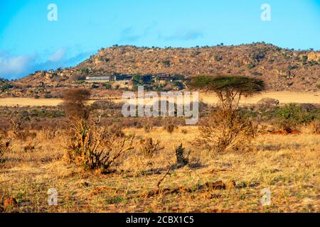 Acacia dans la savane, VOI Safari Lodge, Parc national de Tsavo East, Côte, Kenya Banque D'Images