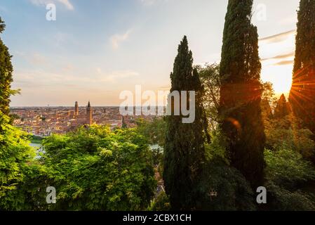 Admirez les cyprès du Castel San Pietro au coucher du soleil avec des étoiles au-dessus de la vieille ville de Vérone, en Italie Banque D'Images