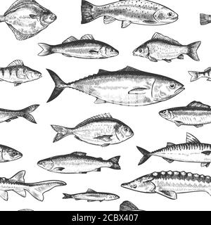 Motif poisson sans coutures. Main dessiné différents poissons de mer et de rivière, marine vie sous-marine impression monochrome papier peint esquisse texture vectorielle Illustration de Vecteur