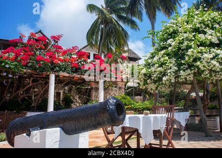 Belles maisons et hôtels dans la plage de Shela dans le sud De l'archipel de l'île de Lamu au Kenya Banque D'Images