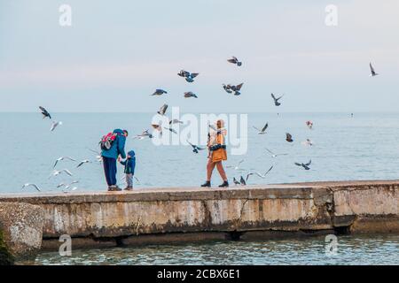 Une famille inconnue avec deux enfants marche le long du brise-lames dans la mer Noire, parmi les goélands volants. Banque D'Images