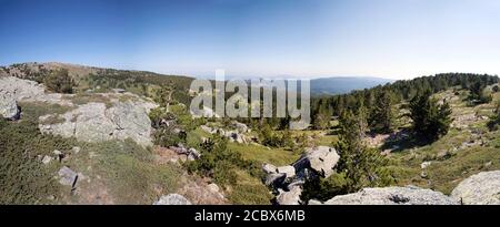 Ida Mountain-Kaz Daglari En Turquie. (En turc: Kazdagi, signifiant Goose Mountain), Turquie. Belle nature..la montagne Ida a des plantes et des arbres endémiques Banque D'Images