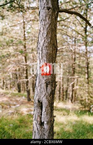 Panneau de randonnée à point rouge sur un arbre. Cercle rouge avec un point blanc. Indications de direction du sentier de randonnée et de sa difficulté. Banque D'Images