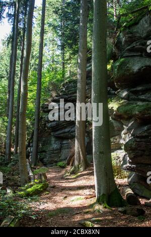 Formations de pierres en Bohême du Sud, randonnée près de Hojna Voda à la montagne Vysoka, République Tchèque Banque D'Images