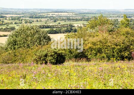 Vue depuis Watlington Hill Oxfordshire, sur le paysage Chilterns Angleterre Royaume-Uni Banque D'Images