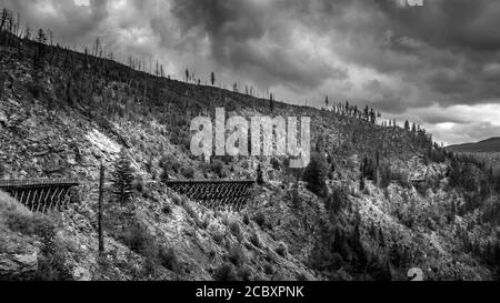 Photo en noir et blanc d'une série de ponts en bois du chemin de fer abandonné de Kettle Valley dans le canyon Myra, près de Kelowna, C.-B., Canada Banque D'Images