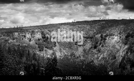 Photo en noir et blanc d'une série de ponts en bois du chemin de fer abandonné de Kettle Valley dans le canyon Myra, près de Kelowna, C.-B., Canada Banque D'Images