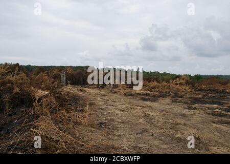 Une porte et un poste de garde abandonnés sur la lande brûlée; la clôture détruite et seulement des restes carbonisés de buissons de gorge laissés (Chobham Common, Surrey, Banque D'Images