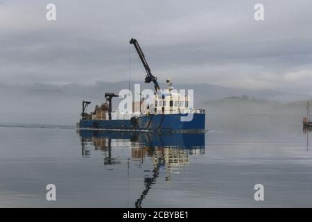 Moule en bateau dans la baie Bantry Banque D'Images