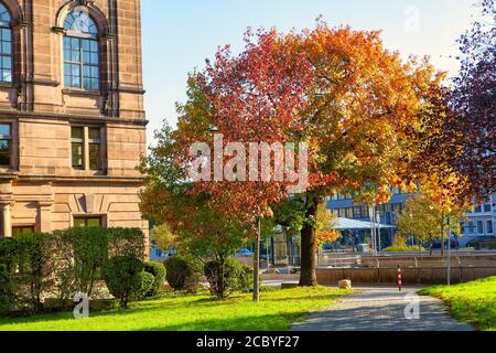 Automne multicolore dans la ville . Chemin dans le parc urbain Banque D'Images