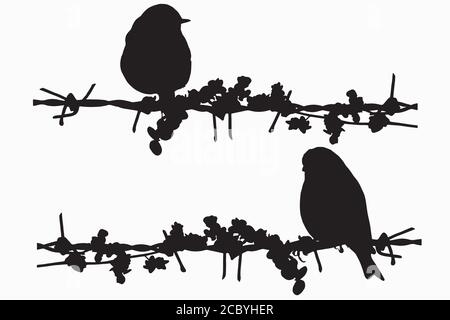 Oiseaux sur fil. Image vectorielle. Arrière-plan blanc. Illustration de Vecteur