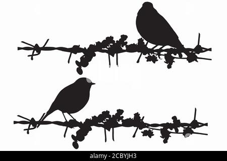 Oiseaux sur fil. Image vectorielle. Arrière-plan blanc. Illustration de Vecteur