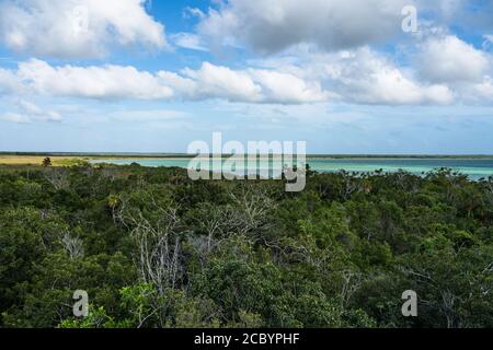 Vue sur le lagon de Muyil et la forêt la tour d'observation en bois dans la forêt tropicale de la Sian Ka'an UNESCO World Biosphere Rese Banque D'Images