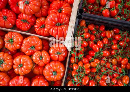 Variété de tomates sur le marché agricole en Sicile, Italie. Banque D'Images