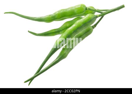 Gousses de radis (Raphanus sativus silique) isolées sur blanc Banque D'Images