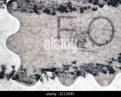 USA Forever tamponner sous le microscope (grossissement de l'objectif 2x), lumière transmise Banque D'Images