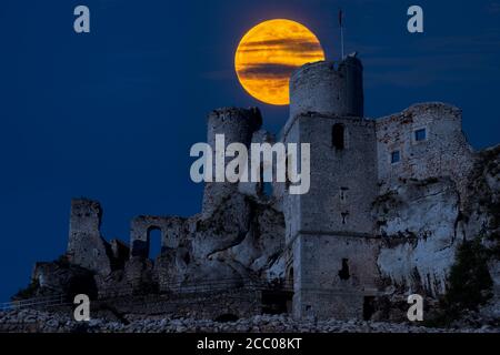 Ruines du château d'Ogrodzieniec en Pologne Banque D'Images