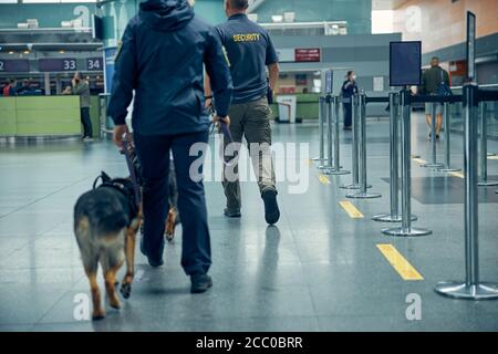 Travailleurs de la sécurité avec des chiens de berger allemands marchant à l'aéroport Banque D'Images