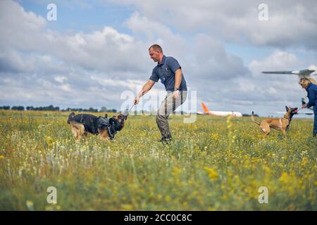 Les officiers formant des chiens de détection dans les champs herbeux Banque D'Images