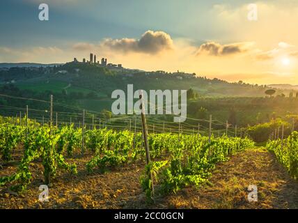 Tours de ville médiévale de San Gimignano et de vignobles skyline panorama paysage campagne sur le lever du soleil. La Toscane, Italie, Europe. Banque D'Images