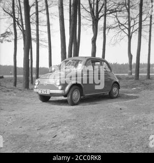 Une Fiat 500 D d'époque ou Fiat Nuova cinquecento une petite voiture italienne et un design arrière classique photographié en 1964. La Fiat 500 a été fabriquée de 1957 à 1975 et conçue par Dante Giacosa Banque D'Images