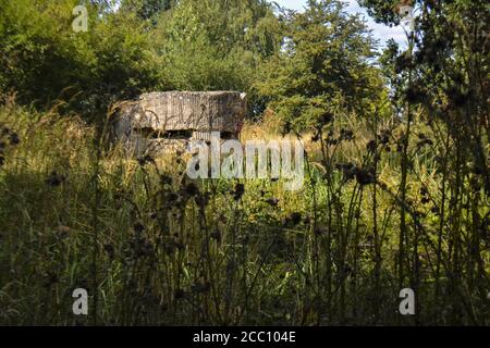 ZILLEBEKE, BELGIQUE - 15 août 2018 : Zillebeke, Belgique, 2018 août : bunker de la première Guerre mondiale sur le site Hill 60 à Zillebeke, près d'Ypres Banque D'Images