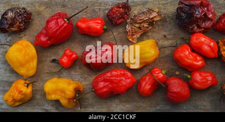 Le piment (également chili, Chili, Chili, Chili ou Chili), de Nahuatl ch?lli, est le fruit de plantes du genre Capsicum qui sont m Banque D'Images